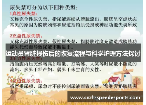 运动员肾脏损伤后的恢复流程与科学护理方法探讨 运动员肾脏损伤后的恢复流程与科学护理方法探讨